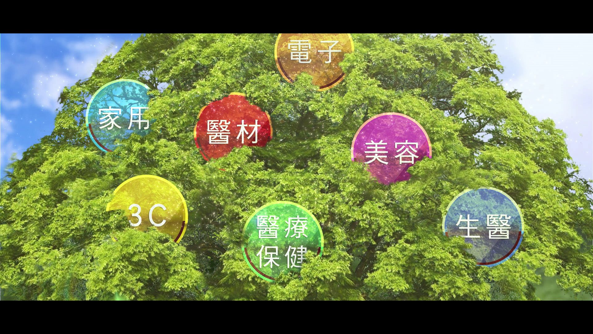 pic cut.00 07 52 24.still271